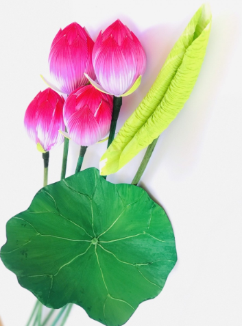 Hoa sen giấy Thanh tiên Huế - Ảnh 4