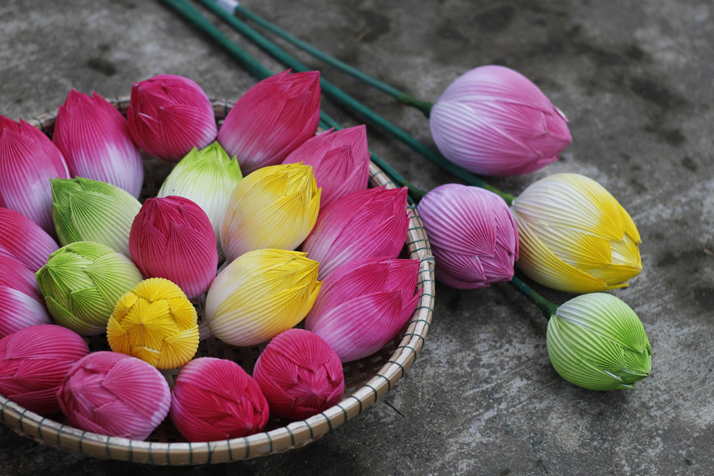 Hoa sen giấy Thanh tiên Huế - Ảnh 2